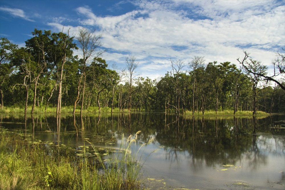 Chitwan National Park UNESCO Heritage Site Nepal