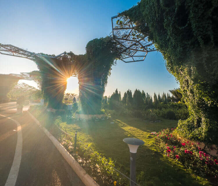 valley of flowers statue of unity