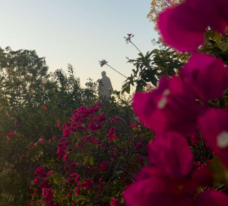 valley of flowers statue of unity