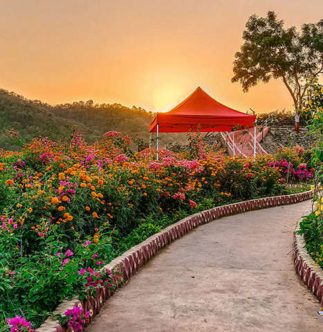 valley of flowers statue of unity