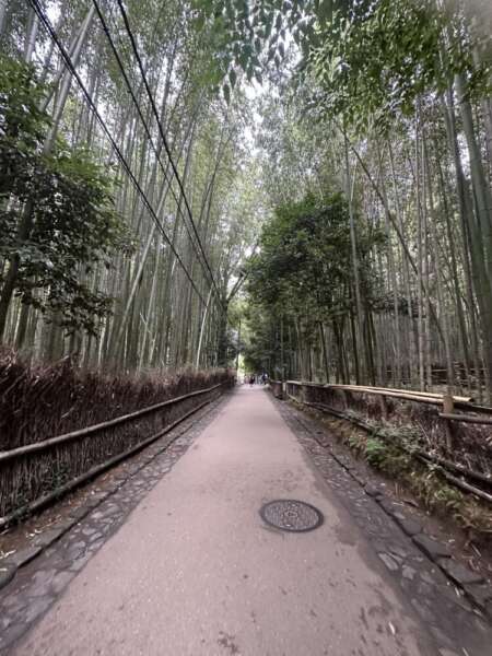 Arashiyama 