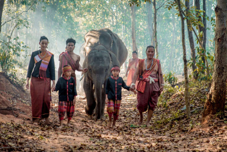 Elephant sanctury, Phuket