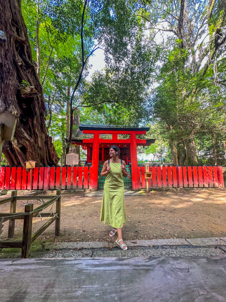 Nara full day itinerary