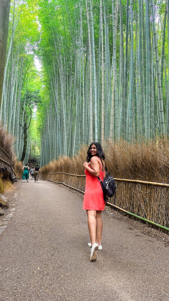 All you need to know about Arashiyama 2