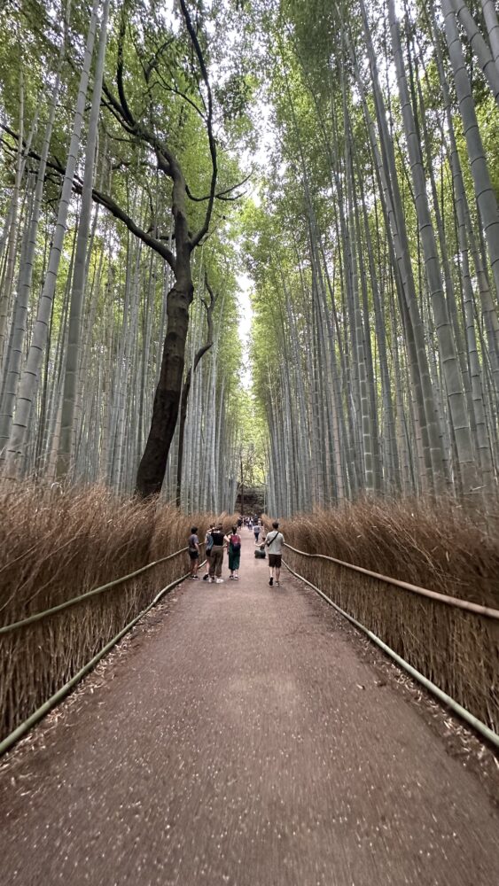 15 Things to do in Arashiyama 2