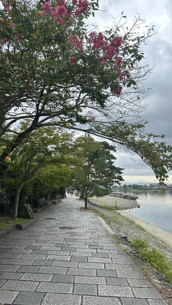 Togetsukyo bridge