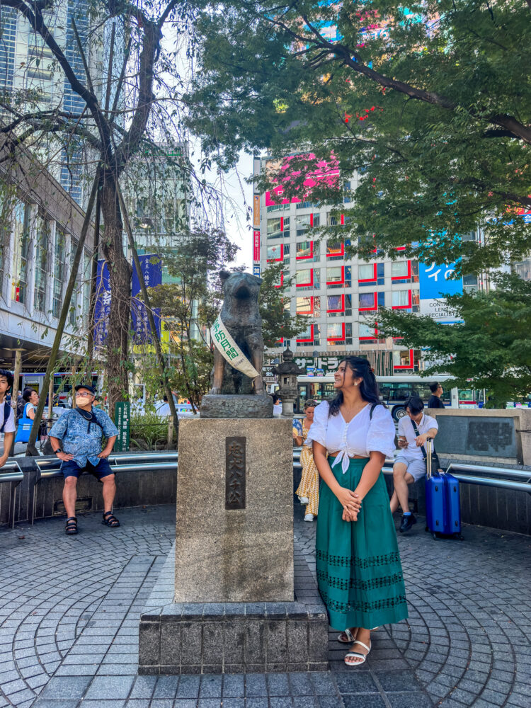 5 Things Indians should know before visiting Japan