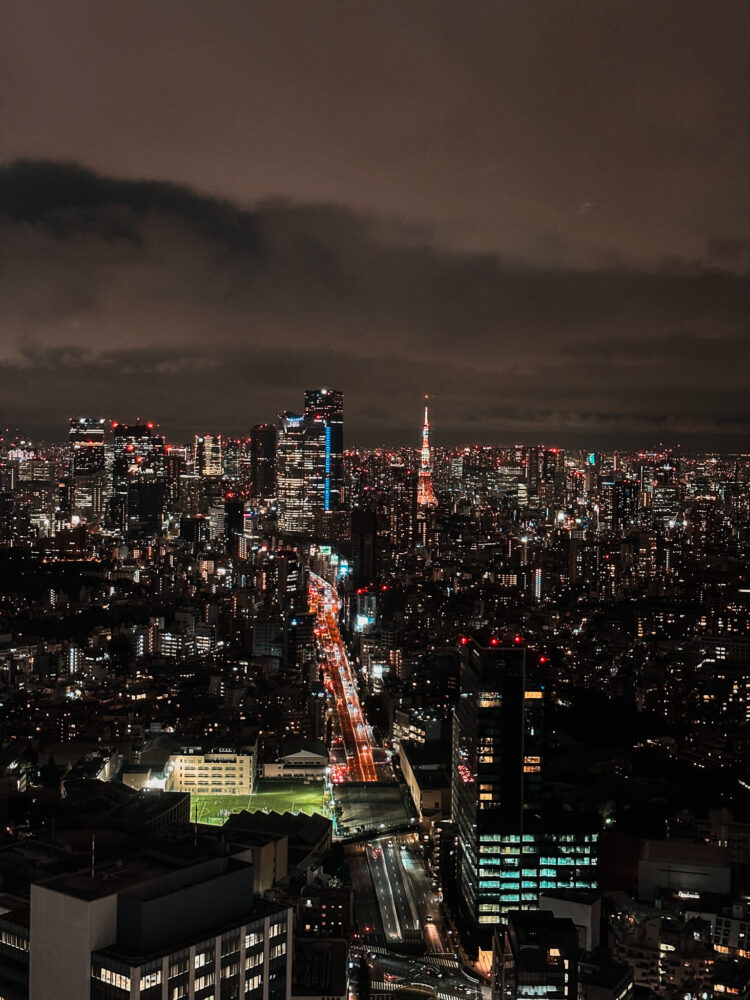 Shibuya Skywalk in Tokyo 1