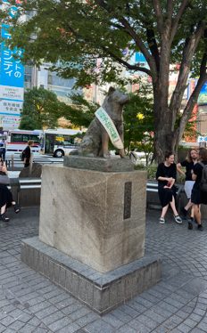 Hichiko statue